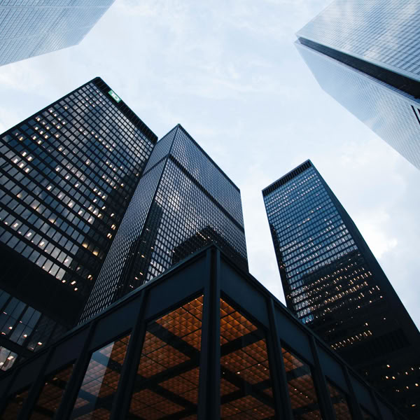 Large Business 